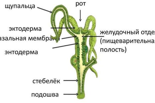 Новая ссылка кракена