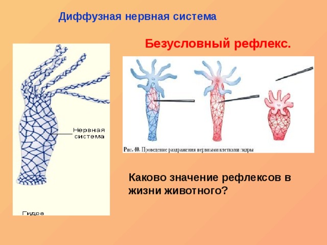 Новый адрес кракен